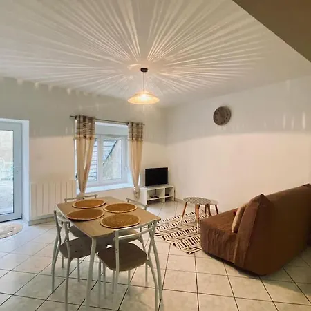 Au Centre-ville Avec Cour * Langres